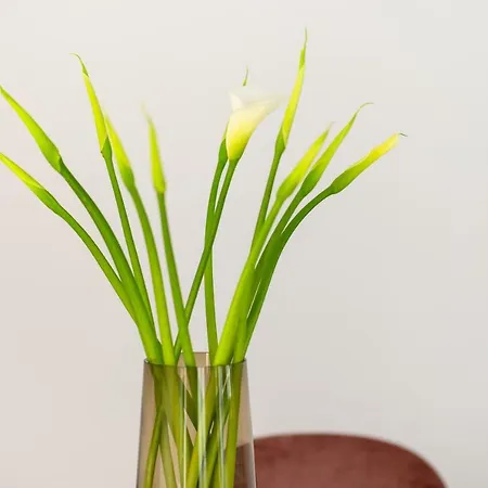 דירה Open Air Historic Penthouse Vegueta *