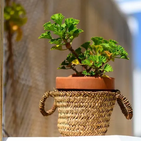 Open Air Historic Penthouse Vegueta Apartment